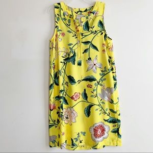 Beautiful Loft summer dress